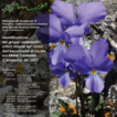 A floristic survey of the Tifatini and ...